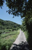 tkf001_805414