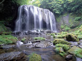tkf001_805422