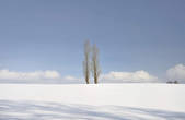 tkf001_805430