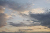 tkf001_805443