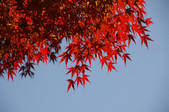 tkf001_805450