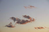 tkf001_805451