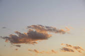 tkf001_805452