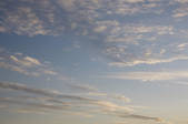 tkf001_805467