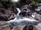 tkf001_805468