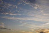 tkf001_805469