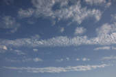 tkf001_805475