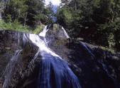 tkf001_805477