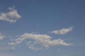 tkf001_805482
