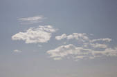 tkf001_805489