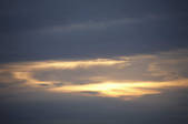 tkf001_805523