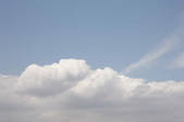 tkf001_805546