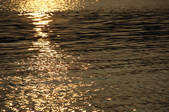 tkf001_805554