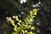 tkf001_805564