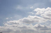 tkf001_805569