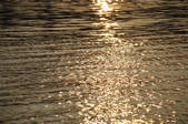 tkf001_805574