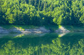 tkf001_807993