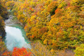 tkf001_808194