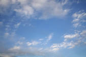 tkf001_808680