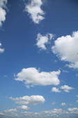 tkf001_808682