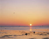 tkf001_808971