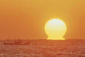 tkf001_808979