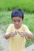 tkf001_809353