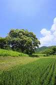 tkf001_810092