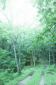 tkf001_810097