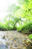 tkf001_810098