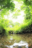 tkf001_810101