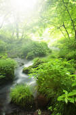 tkf001_810102