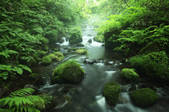 tkf001_810104