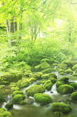 tkf001_810106