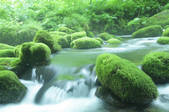 tkf001_810109