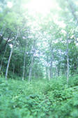 tkf001_810117