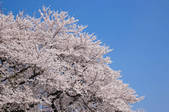 tkf001_810122