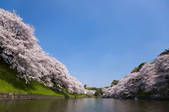 tkf001_810123