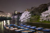 tkf001_810132