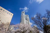 tkf001_810164
