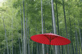 tkf001_810254