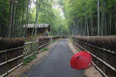 tkf001_810256