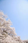 tkf001_810316
