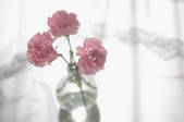 tkf001_813450