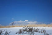 tkf001_813476