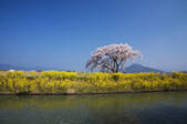 tkf001_813510