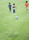 tkf001_813525