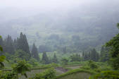 tkf001_813541