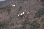 tkf001_813542