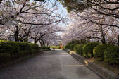 tkf001_813557